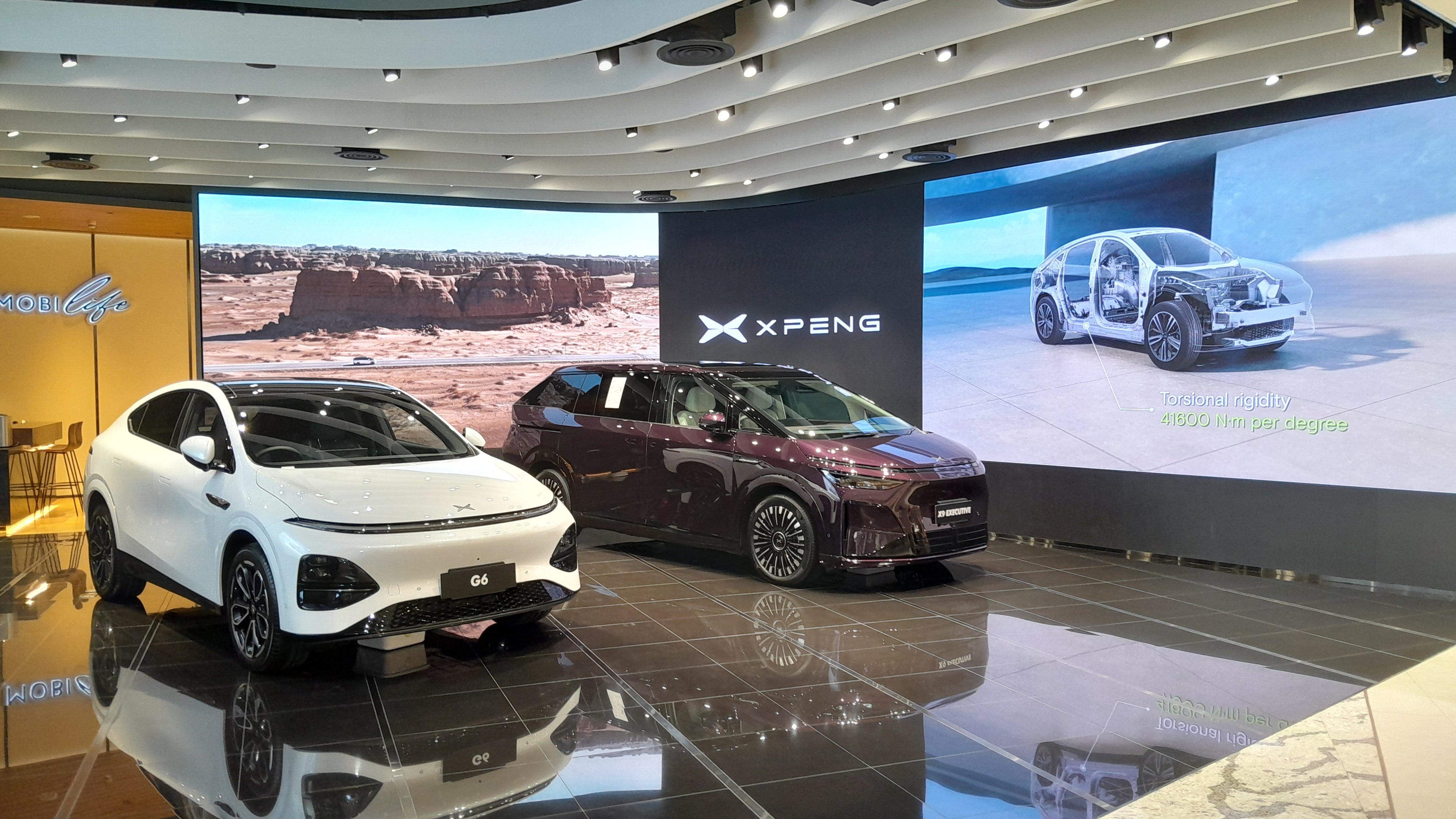 Car Showroom Photo 10